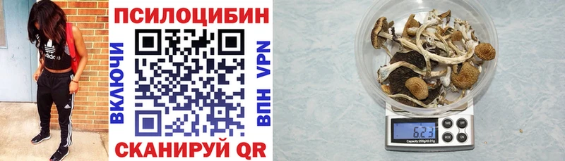 Купить где  Лермонтов  Псилоцибиновые грибы прущие грибы 
