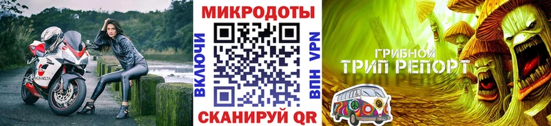 Псилоцибиновые грибы прущие грибы Лермонтов